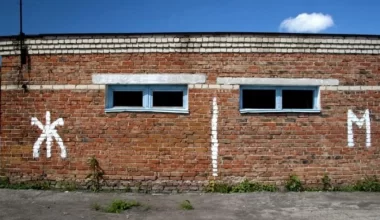 Школьника избили в туалете в Жамбылской области: подросток погиб