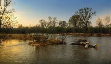 Уровень воды в реке Жайык превышает критический показатель