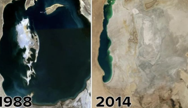 Как изменилось Аральское море: шокирующее фото