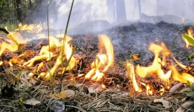 Пожарная опасность сохраняется на большей части Казахстана