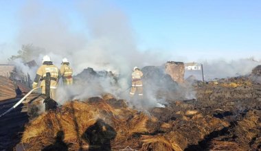 В Костанайской области вспыхнули тонны сена