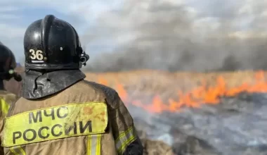 В России бушуют лесные пожары