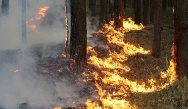 Пожарная опасность сохраняется в некоторых регионах Казахстана