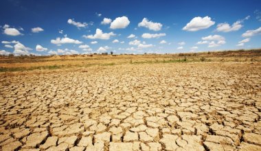 Синоптики прогнозируют засуху в четырёх областях Казахстана