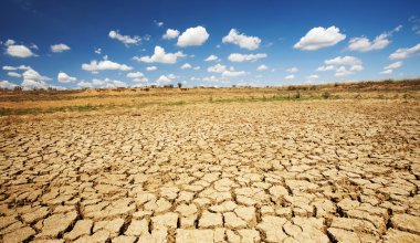 Вода, засуха, саранча: сельхозпрогноз вице-премьера Жумангарина