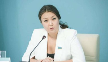 Абсолютная ложь - омбудсмен о петиции против закона о бытовом насилии в Казахстане