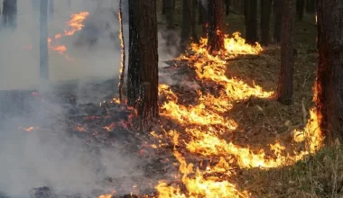 Штормовое предупреждение объявили на большей части Казахстана