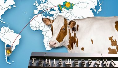 Проблема в цене: ТШО в Атырауской области закупает мясо из Аргентины