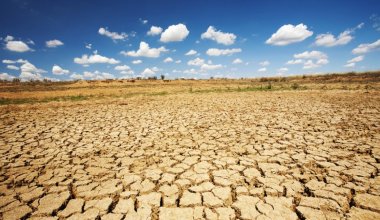 Синоптики прогнозируют засуху в 10 регионах Казахстана