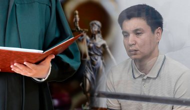 "Давление общественности": адвокаты просят отменить приговор брату Бишимбаева