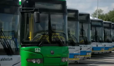 Школьницу принудительно высадили из автобуса в Павлодаре