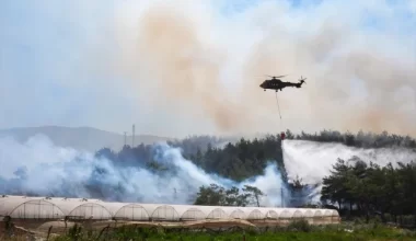 Крупный лесной пожар возник в Турции
