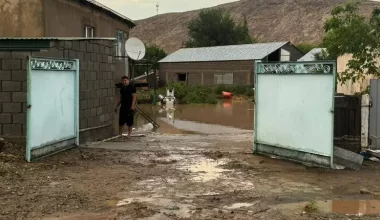 В Жамбылской области грязевой поток затопил дома и двора