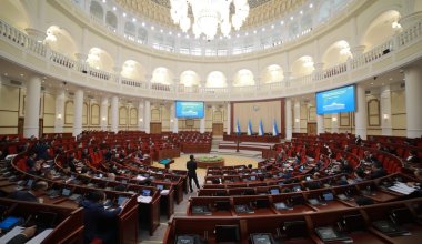 Запрет зарубежных партий, наказания для депутатов, электроэнергия: обзор узбекской прессы