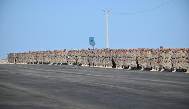 Операцию по локализации вооружённого конфликта проведут военные Казахстана