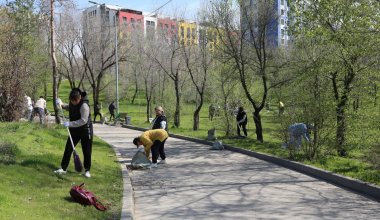 Новые правила благоустройства приняли в Алматы: что это значит для бизнеса и граждан