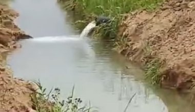 Подрядчик сливал грунтовые воды в ливневую канализацию в Астане