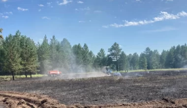 В Павлодарской области возник лесной пожар