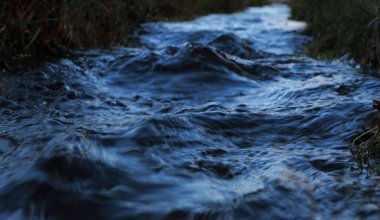 В Казахстане станет больше водоемов с лимитом на вылов рыбы