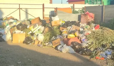 Массу экологических нарушений выявили в Акмолинской области