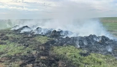 В Акмолинской области сгорели тонны сена