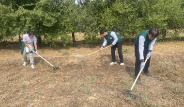 Таза Казахстан: в Жамбылской области продолжается экологическая акция