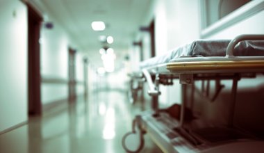 В Алматинской области людей госпитализируют с подозрением на сибирскую язву