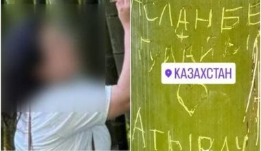 Вырезала имя на бамбуке: казахстанку обвинили в вандализме в Ботаническом саду Батуми