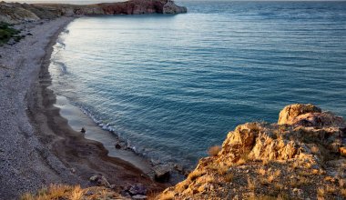 В Балхаше нашли останки людей