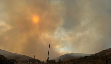 Крупный лесной пожар угрожает Баянаульскому национальному парку