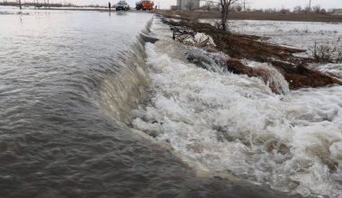 Казахстанским фермерам продлили срок подачи заявок на возмещение ущерба из-за ЧС