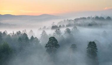 В Казахстане ожидаются туманы и гололед