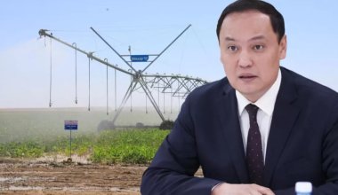 Особое отношение: кому и как в Жамбылской области помогают с работой, учебой и реабилитацией