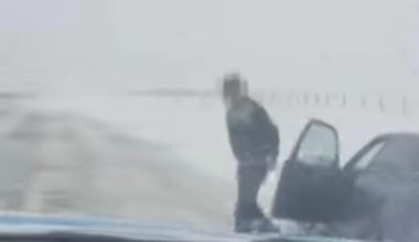 На трассе в Карагандинской области задержали пьяного водителя-иностранца