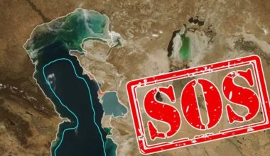 Деградация экосистем: до 21 метра может снизиться уровень Каспия к 2100 году