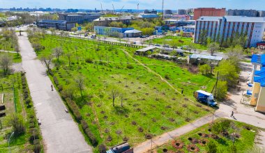 В Караганде высадили 700 деревьев и кустарников в рамках эко-акции BI Green