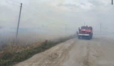 В Акмолинской области загорелся сухостой