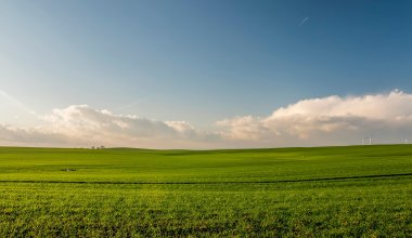Информацию о передаче Китаю земель Казахстана прокомментировали в правительстве