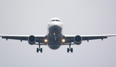 Птица столкнулась с самолетом, который собирался лететь в Астану