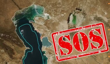 Обмеление Каспия: будет ли Казахстан платить России за воду из Волги