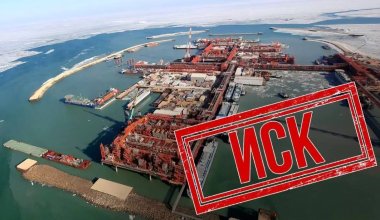 Экологический урон: о серьезных нарушениях NCOC заявили в Атырауской области