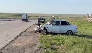 Жуткие кадры столкновения авто со стадом сайгаков шокировали казахстанцев