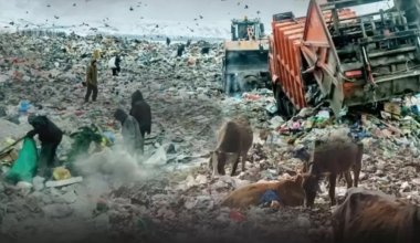 В Казахстане выявили сотни мусорных полигонов с санитарными нарушениями