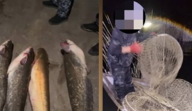 Успел выловить более 45 кг рыбы - браконьера задержали в Жамбылской области