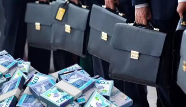 Тот, кто хочет честно обеспечивать семью, на госслужбу не идёт - юрист