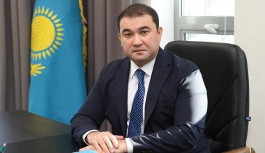 Аким Туркестанской области отрицает падеж скота