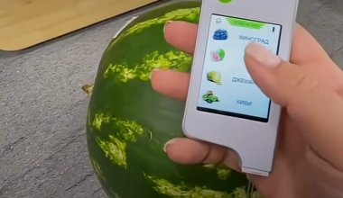 Казахстанка проверила июньский арбуз на нитраты: результат ее шокировал