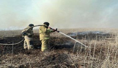 Стало известно о локализации пожара в резервате в Атырауской области