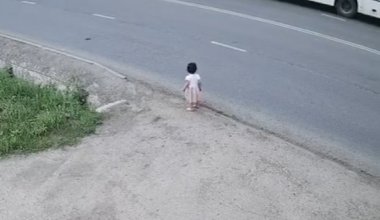 Девочка выбежала на дорогу в Актобе: родителей привлекли к ответственности