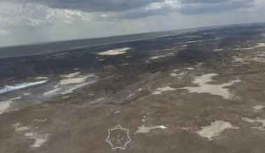 Пожар в природном резервате в Атырауской области ликвидировали